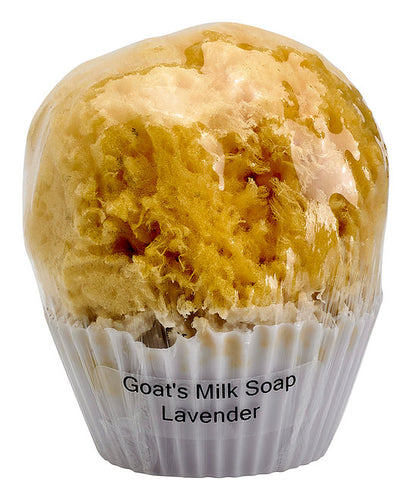 Lavender Goats Milk and Olive Oil Soap Cupcake and Sponge - Off The Trail Gifts