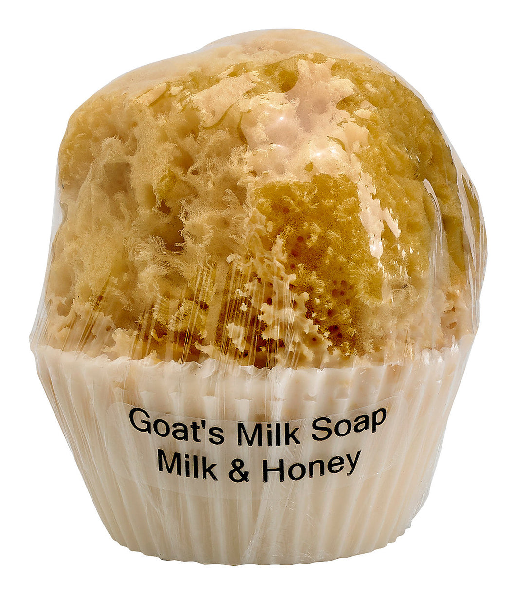 Milk and Honey Goats Milk. Olive Oil Soap Cupcake and Sponge - Off The Trail Gifts