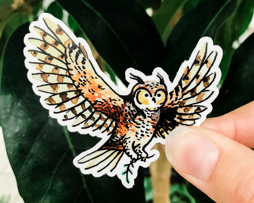 Owl Bird Vinyl Sticker Decor - Off The Trail Gifts